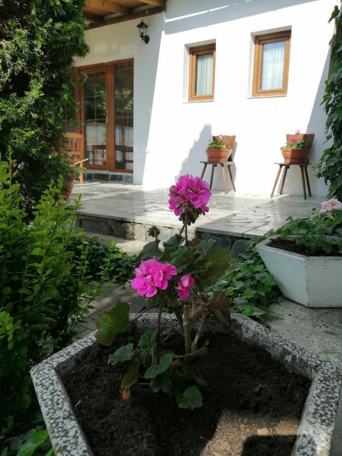 Apartment 62 Novy Prerov